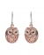 Aromatherapy Essential Oil Diffuser Sterling Silver Earrings
