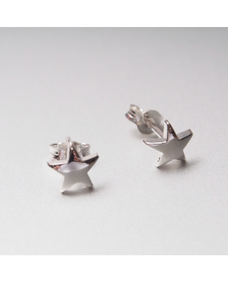 Silver Earrings/ TE203